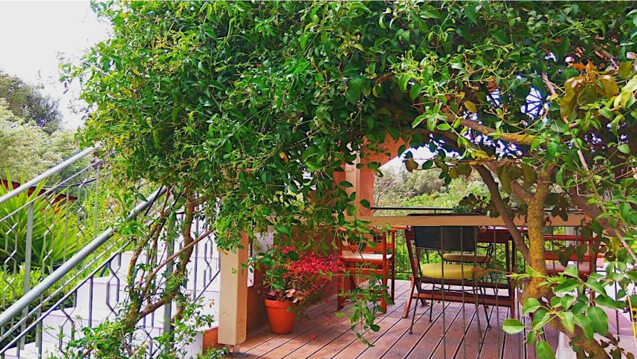 Kefalonia Apartments - Marias Studios - 2 Bedroom Apartment In Orchard, Spartia Kültér fotó